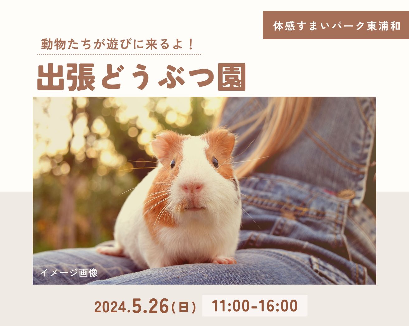 【東浦和】動物たちが遊びにくるよ!!!の画像